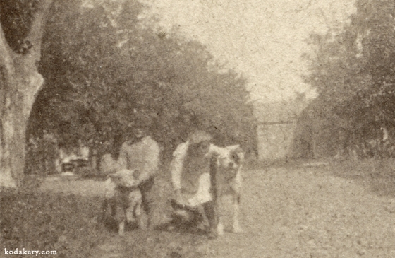 Close-up of dog and lamb with people in early Kodak snapshot